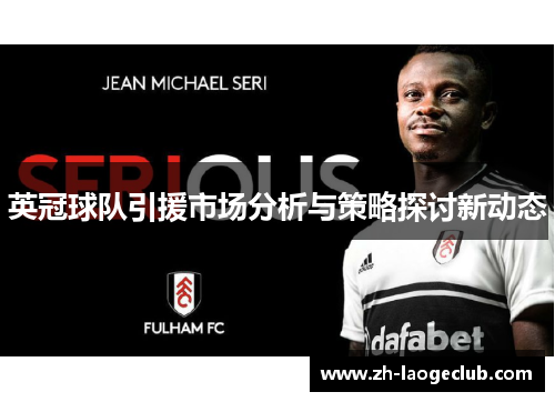 英冠球队引援市场分析与策略探讨新动态